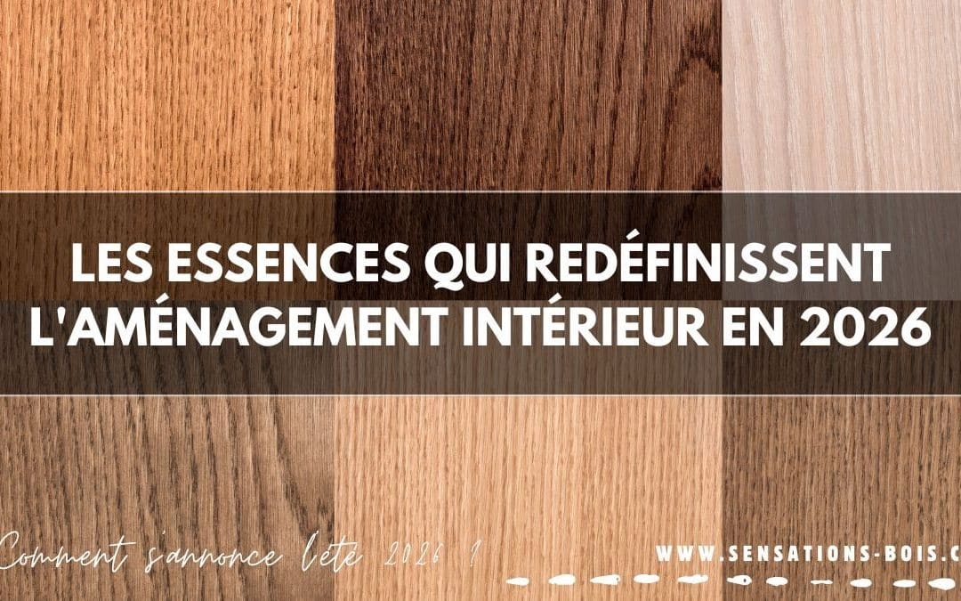Bois foncé, noyer, chêne fumé : les essences qui redéfinissent l&rsquo;aménagement intérieur en 2026